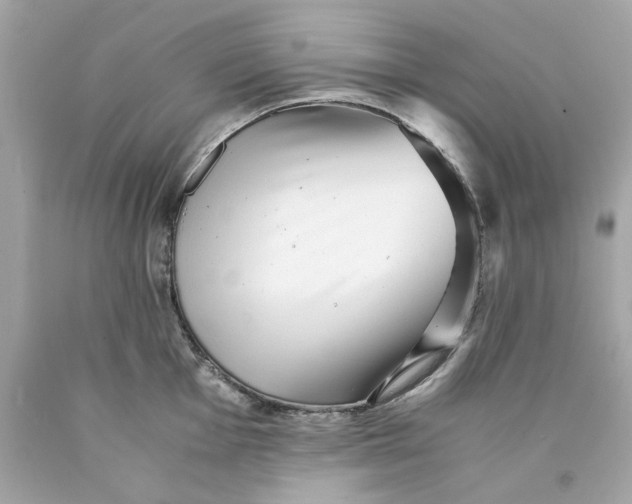 X0000089971001200707202007