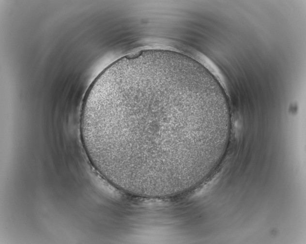 X0000089971002200707202007