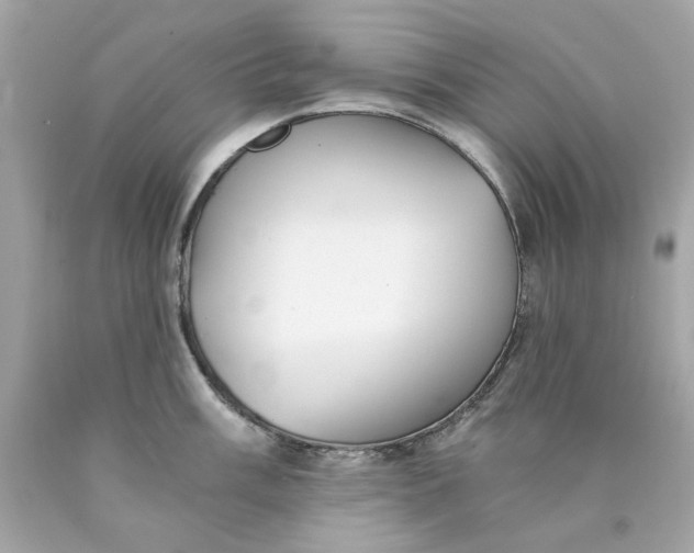 X0000089971003200707202006