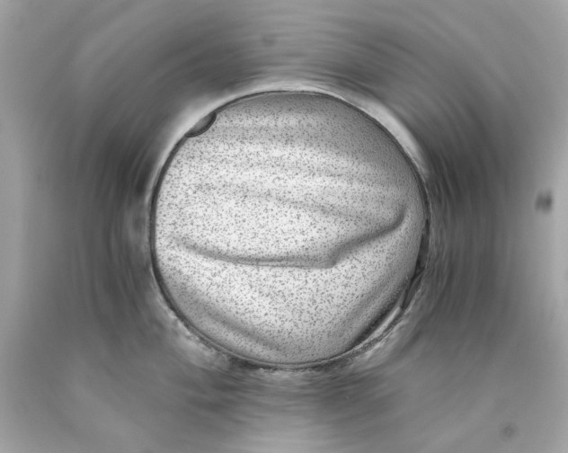 X0000089971004200707202006