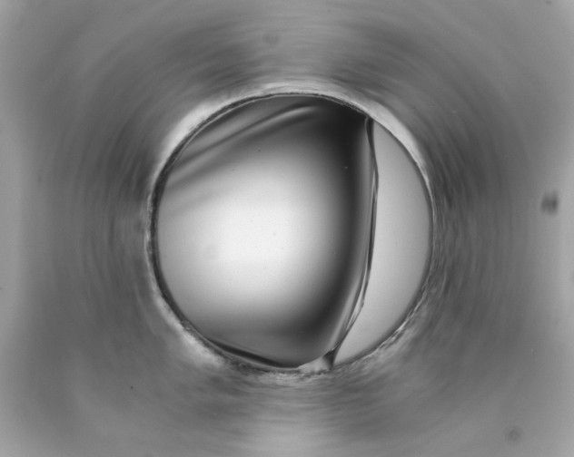 X0000089971005200707202006