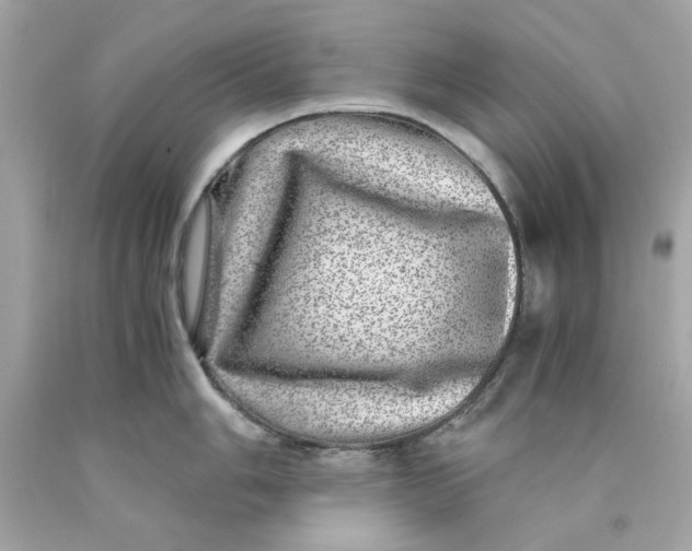 X0000089971006200707202006