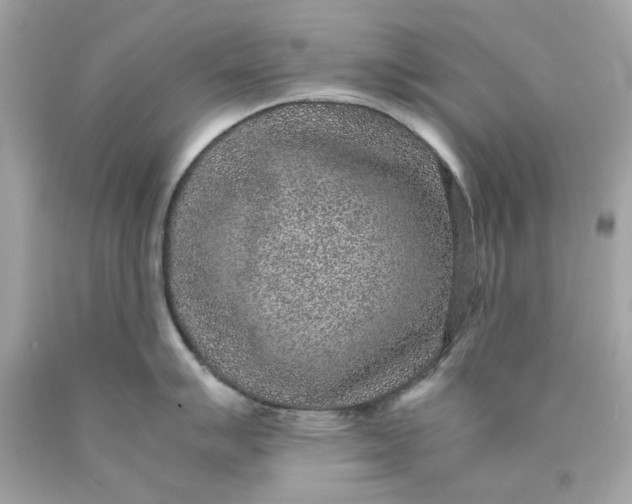 X0000089971007200707202006