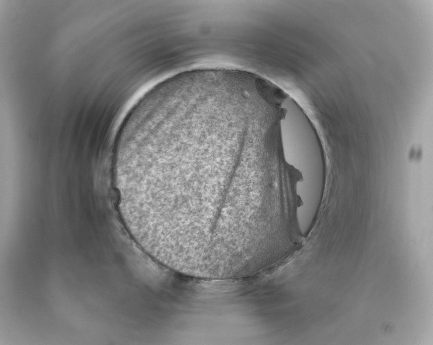 X0000089971008200707202006