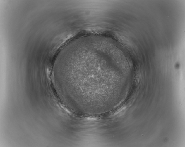 X0000089971010200707202006