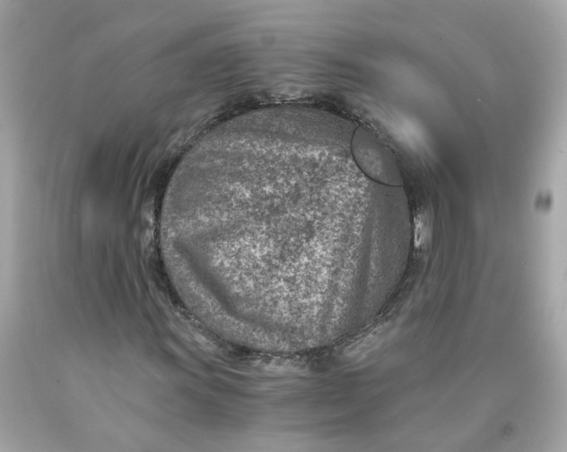 X0000089971011200707202006