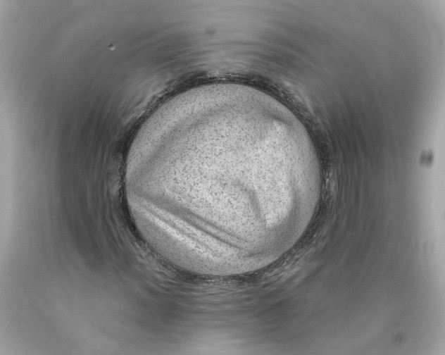 X0000089971012200707202006