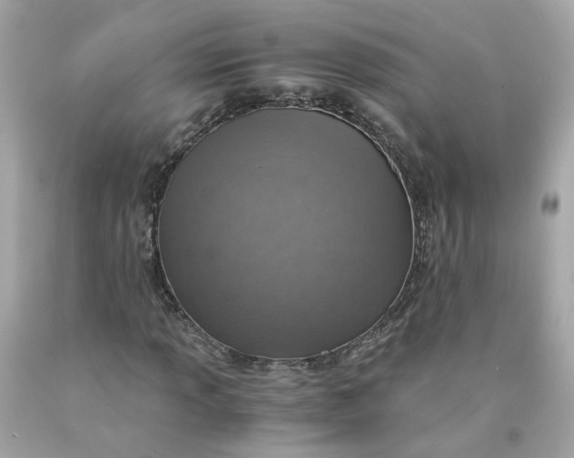 X0000089971013200707202006