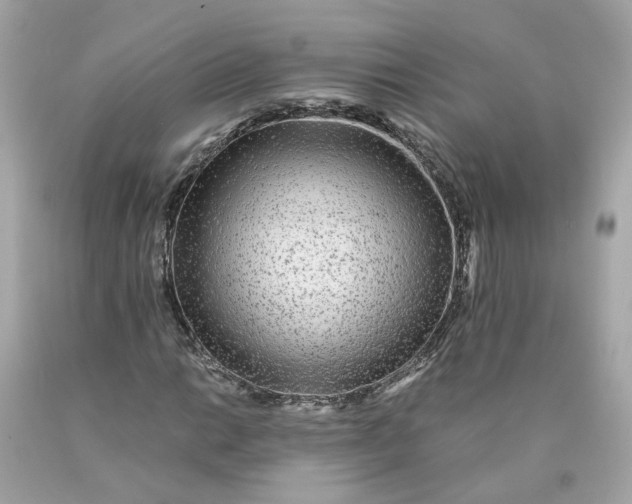 X0000089971014200707202006