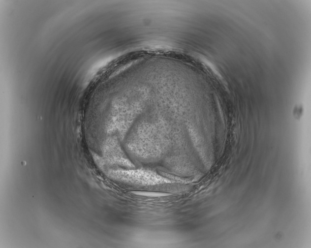 X0000089971016200707202006