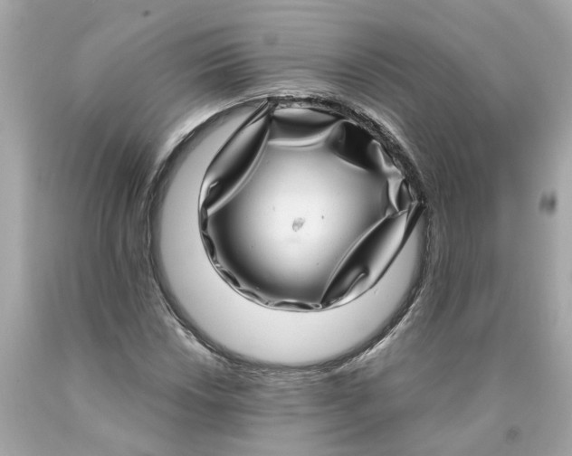 X0000089971018200707202006