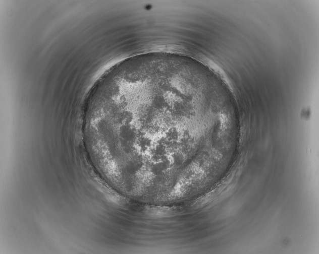 X0000089971019200707202006