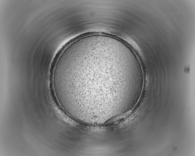 X0000089971020200707202006