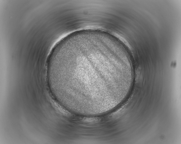 X0000089971021200707202006