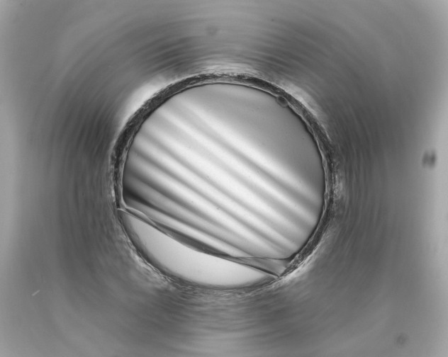 X0000089971022200707202006