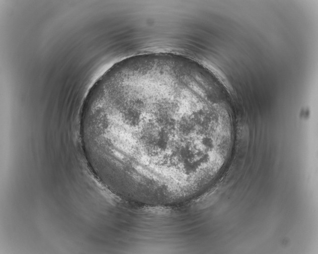 X0000089971023200707202006