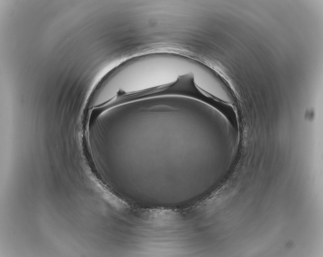 X0000089971024200707202006