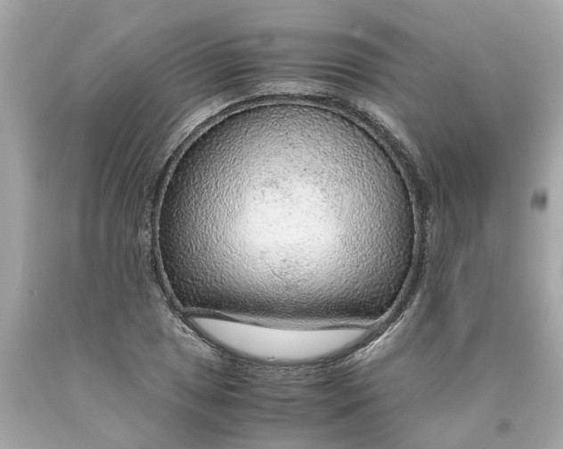 X0000089971025200707202006