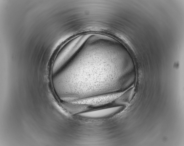 X0000089971026200707202006