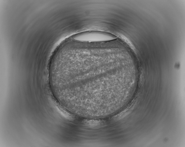 X0000089971027200707202006