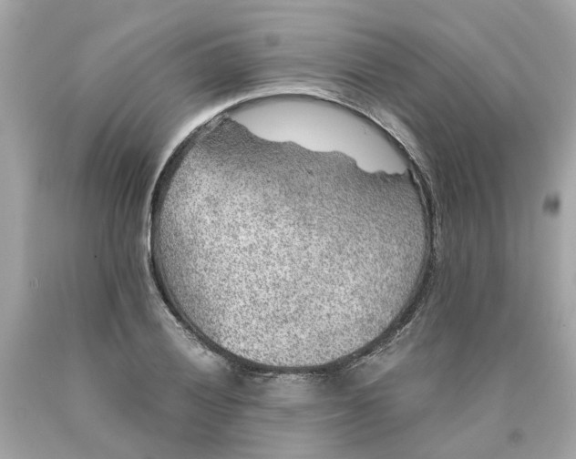 X0000089971028200707202006