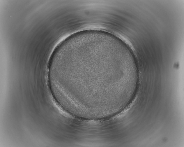 X0000089971029200707202006