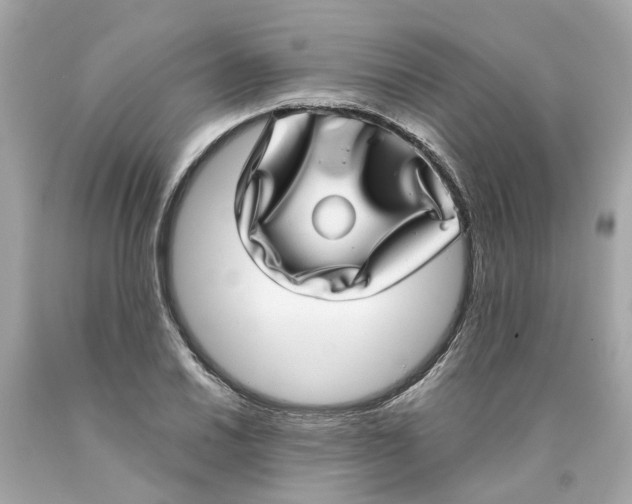 X0000089971030200707202006