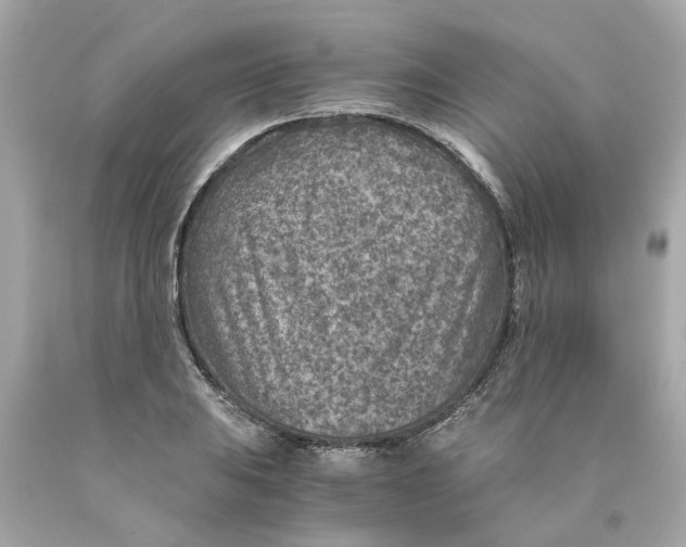 X0000089971031200707202006