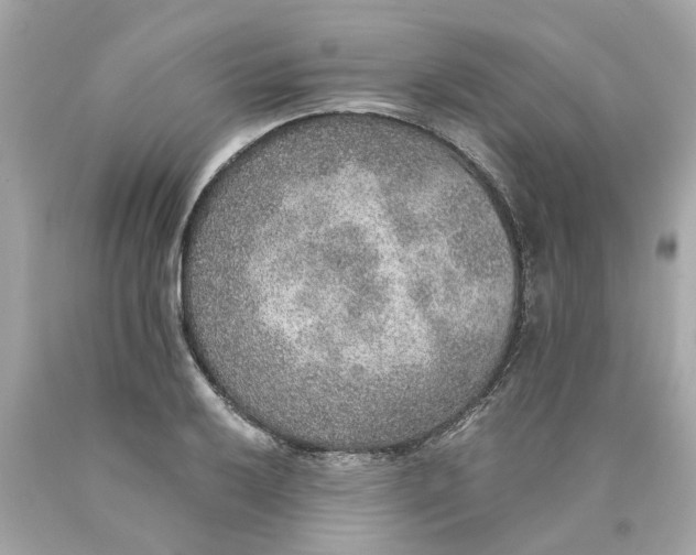 X0000089971032200707202006