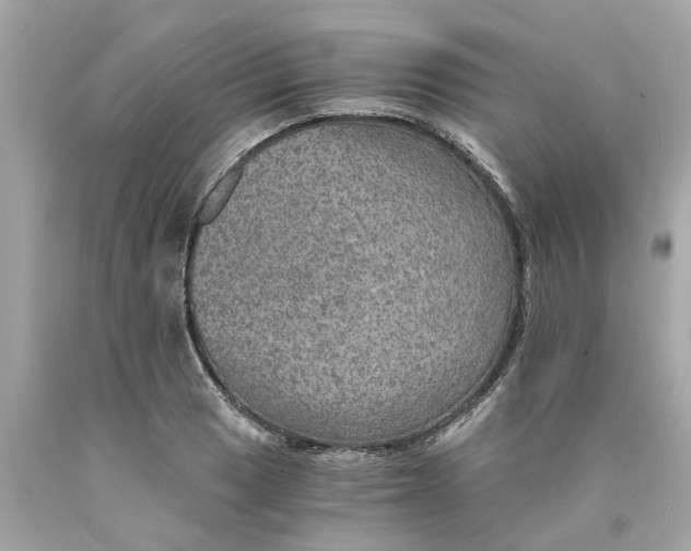 X0000089971033200707202006