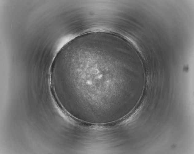 X0000089971034200707202006