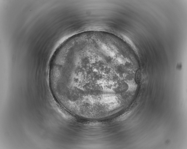 X0000089971035200707202006