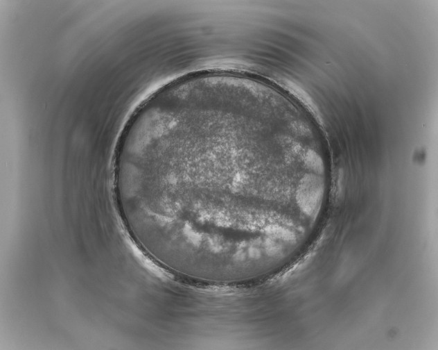 X0000089971037200707202006