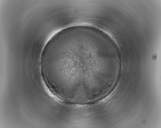 X0000089971038200707202006