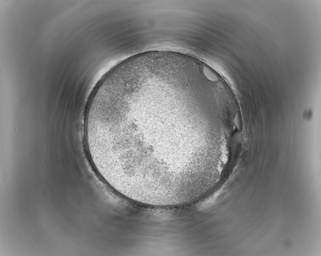 X0000089971040200707202006