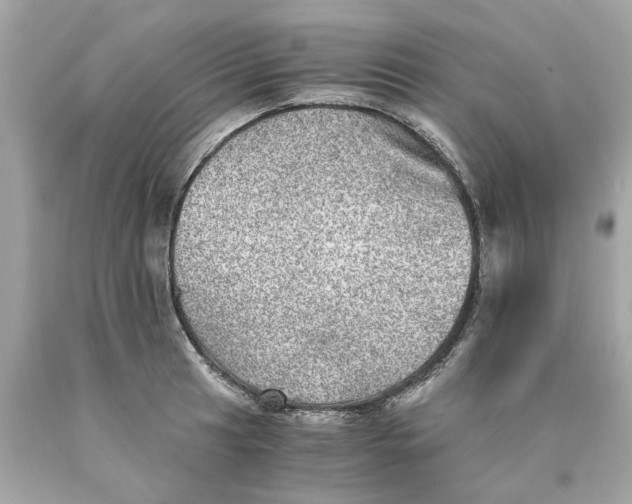 X0000089971041200707202006