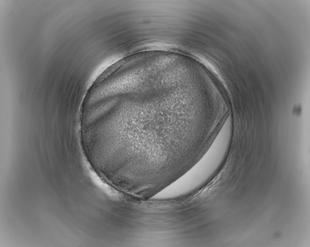 X0000089971042200707202006