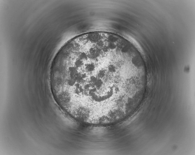 X0000089971043200707202006