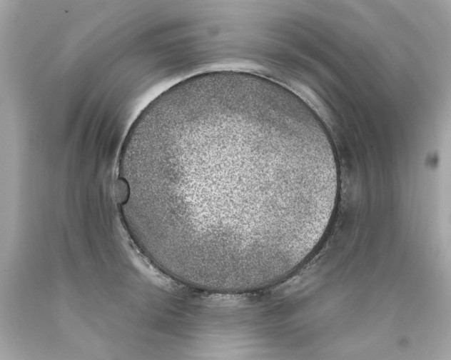 X0000089971044200707202006