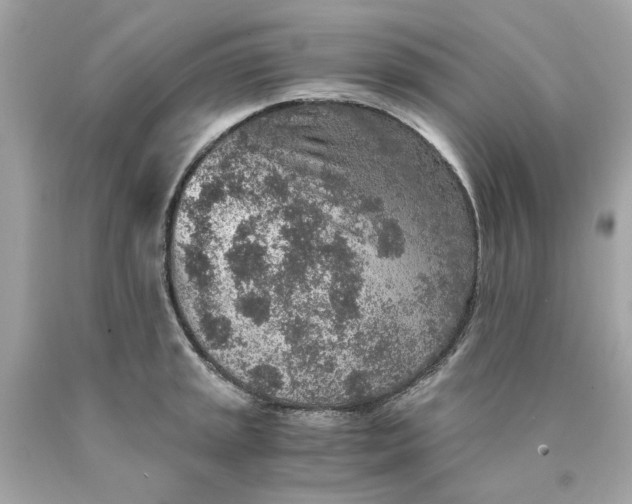 X0000089971045200707202006