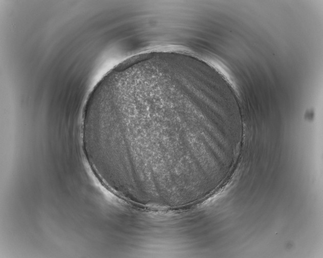 X0000089971046200707202006