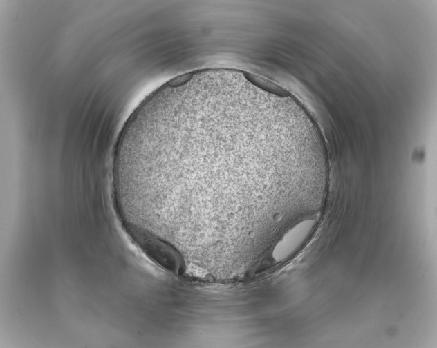 X0000089971048200707202006