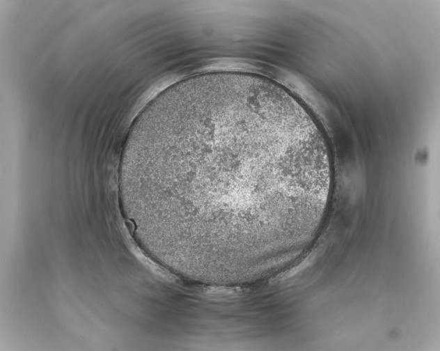 X0000089971049200707202006