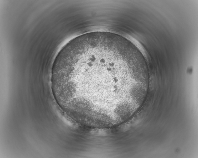 X0000089971051200707202006