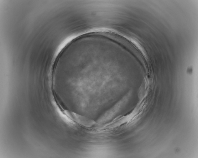 X0000089971054200707202006