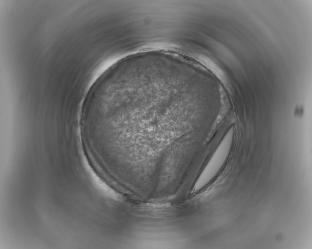 X0000089971055200707202006