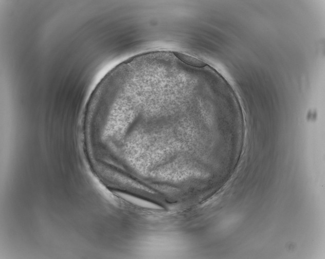 X0000089971056200707202006