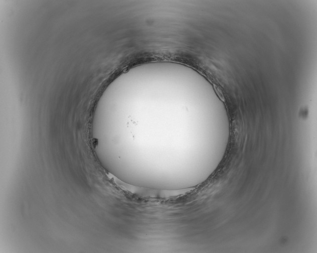 X0000089971057200707202006