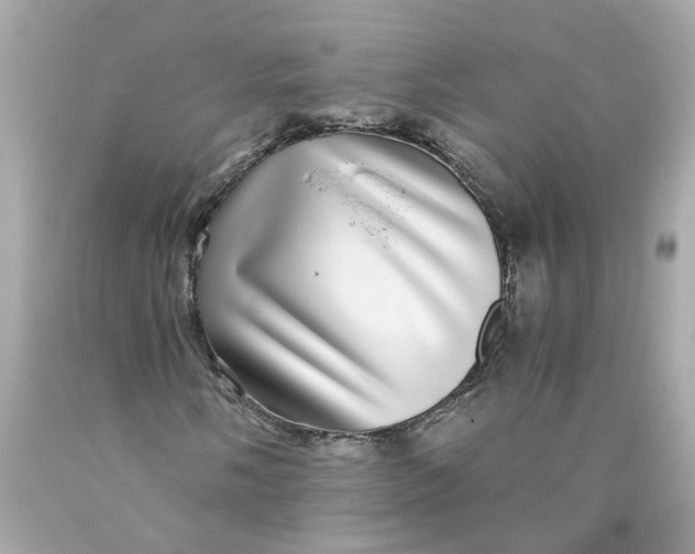 X0000089971058200707202006