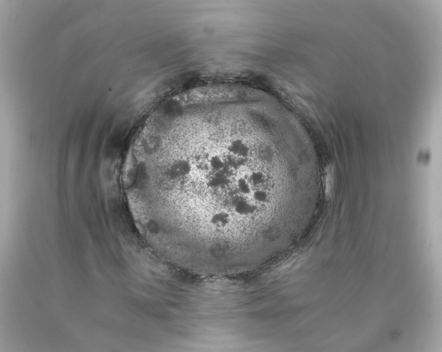 X0000089971059200707202006